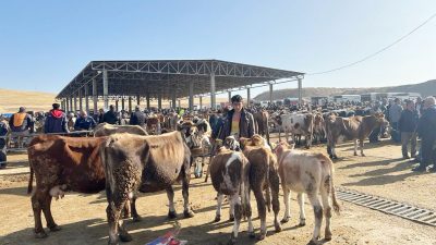 Tarım ve Orman Bakanlığı Gıda ve Kontrol Genel Müdürlüğü, şap