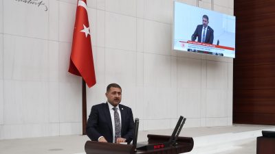 Milliyetçi Hareket Partisi (MHP) Yozgat Milletvekili İbrahim Ethem Sedef, Türkiye