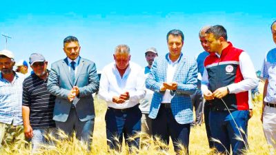 Sorgun Kaymakamı Abdurrezzak Canpolat, ilçeye bağlı Gedikhasanlı köyünde devam eden