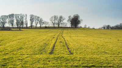 Tarım ve Orman Bakanlığı, Türkiye genelinde uzun süredir kullanılmayan tarım