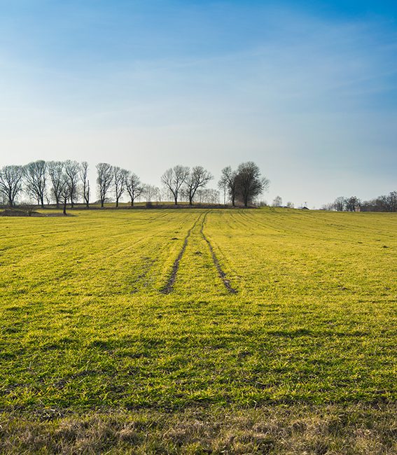 Tarım ve Orman Bakanlığı, Türkiye genelinde uzun süredir kullanılmayan tarım