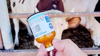 Tarım ve Orman Bakanlığı, ülke genelinde görülen Şap Hastalığı (SAT-1