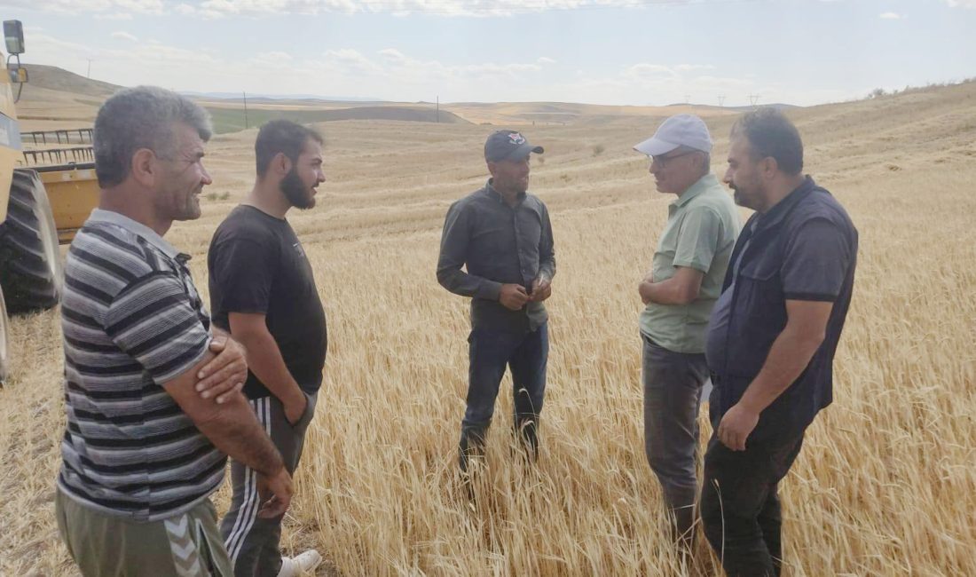 Yozgat İl Tarım ve Orman Müdürlüğü ekipleri, hububat ve baklagil