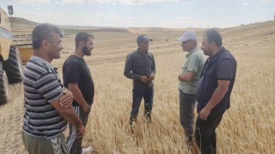 Yozgat İl Tarım ve Orman Müdürlüğü ekipleri, hububat ve baklagil