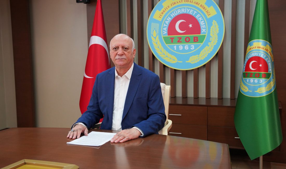 Temmuz ayının kavurucu sıcaklarıyla birlikte Türkiye’nin pek çok noktasında orman