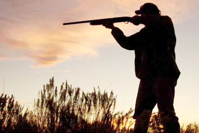 Yozgat Doğa Koruma ve Milli Parklar Müdürlüğü (DKMP), 2025-2026 av