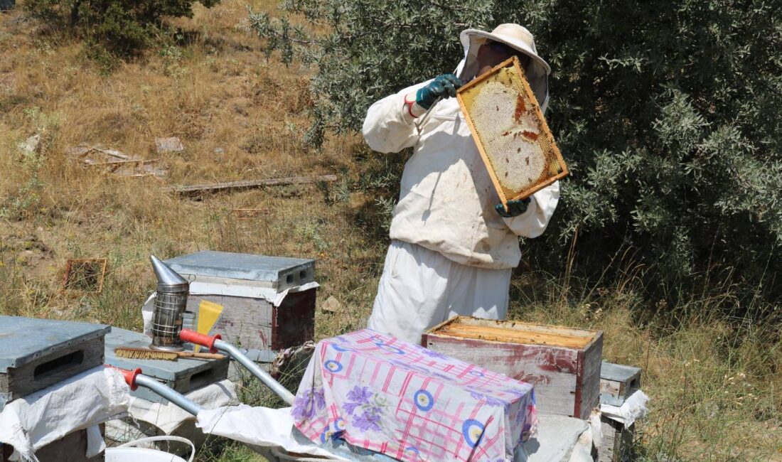 Yozgat Valiliği, 2024 yılında kurulan ve hem ekosisteme hem de