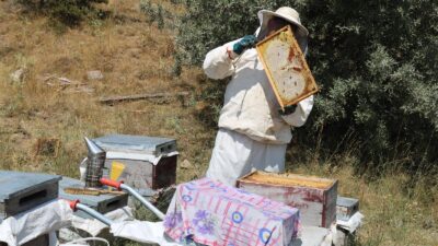 Yozgat Valiliği, 2024 yılında kurulan ve hem ekosisteme hem de