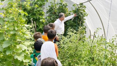 İl Millî Eğitim Müdürü Altınkaynak’tan seralara ziyaret