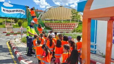 Jandarma ekipleri son bir ayda 117 aranan şahsı yakaladı