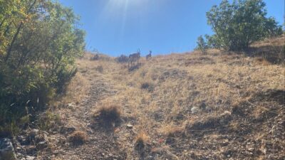 Yozgat İl Jandarma Komutanlığı ekipleri, Aydıncık ilçesinde bulunan Kazankaya Kanyonu’nda