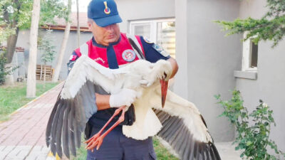 Yozgat İl Jandarma Komutanlığı Çevre, Doğa ve Hayvanları Koruma Timi