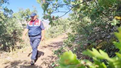 Keklik yavruları  gözlemlendi