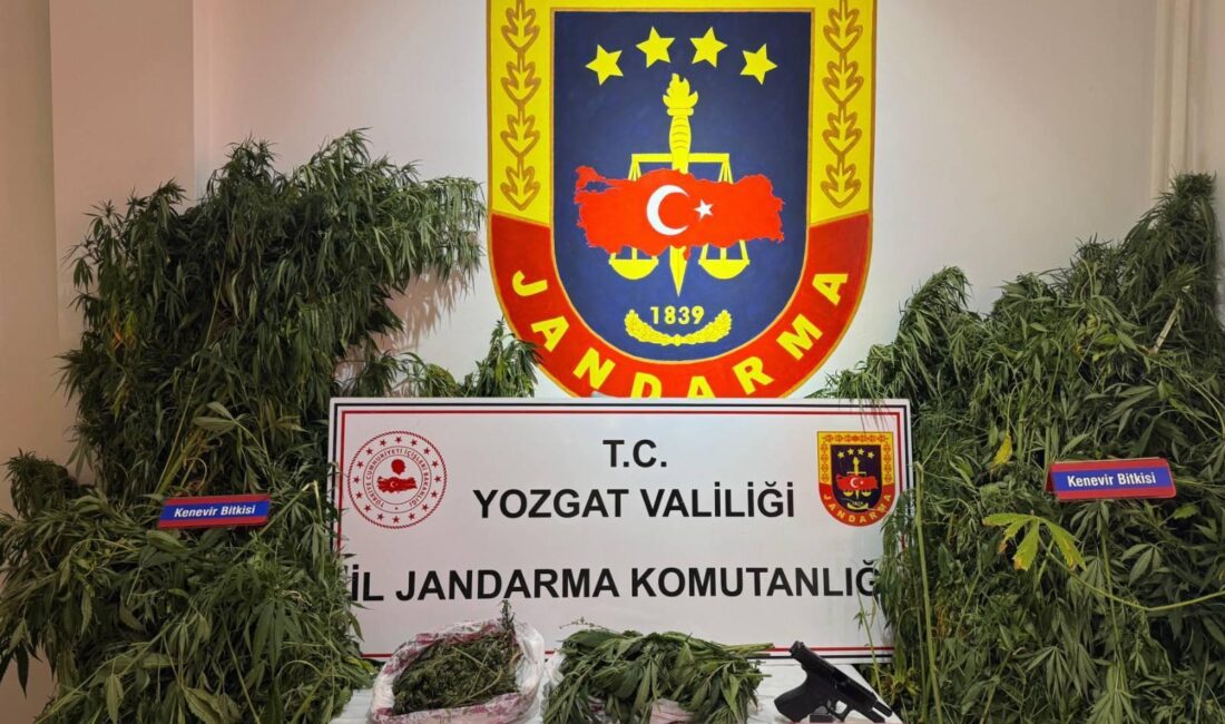 Yozgat İl Jandarma Komutanlığı, Şefaatli İlçe Jandarma Komutanlığı ve Narkotik