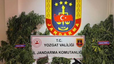 Yozgat İl Jandarma Komutanlığı, Şefaatli İlçe Jandarma Komutanlığı ve Narkotik