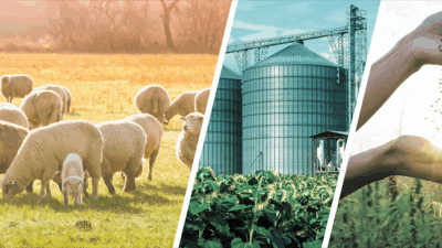 Tarım ve Orman Bakanı İbrahim Yumaklı, toplam 772 milyon 805