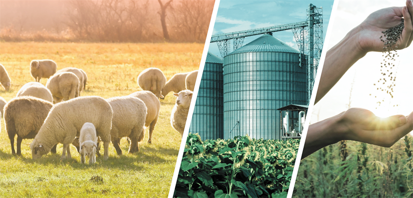 Tarım ve Orman Bakanı İbrahim Yumaklı, toplam 772 milyon 805