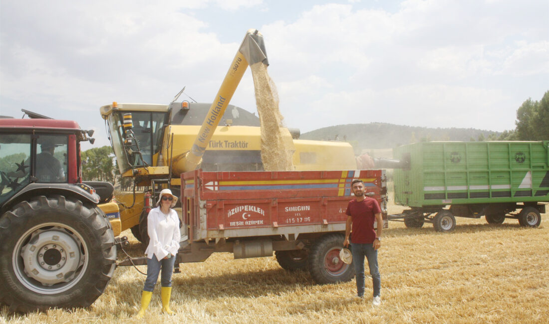 Yozgat Tarım ve Orman İl Müdürü Ömer Şentürk, il genelinde