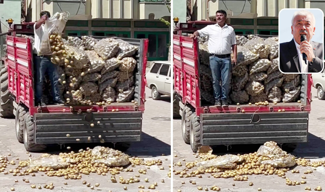 Aydıncık ilçesinde patateslerini köy meydanına dökerek vatandaşlara ücretsiz dağıtan CHP