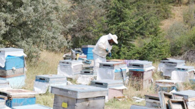 Yozgat Valiliği, 2025 yılı programı kapsamında yapılan son çalışmayla birlikte