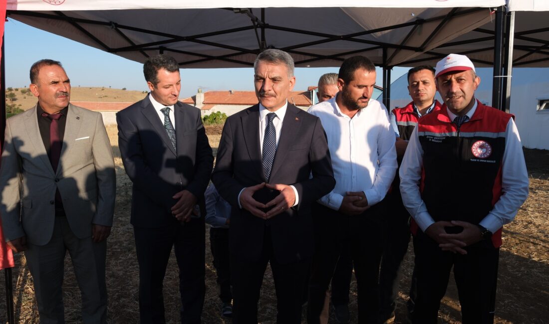 Tarım ve Orman Bakanlığı tarafından yürütülen TULIP (Türkiye Dayanaklı Peyzaj