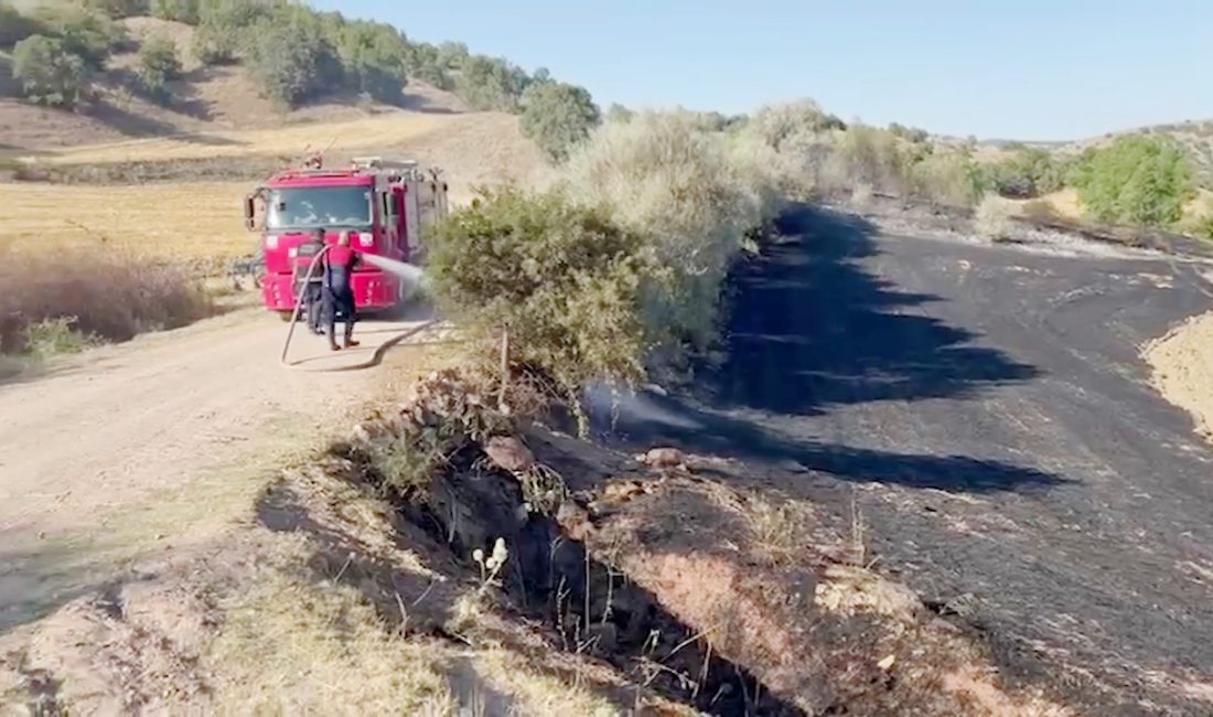 Yozgat Valiliği, yapılan tüm uyarılara rağmen ihmalkarlık sonucu ot ve