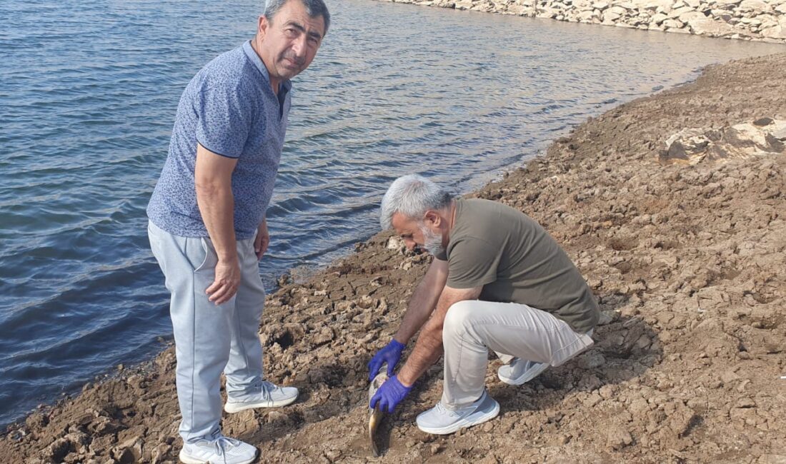 Sorgun ilçesinde bulunan Küçük Taşlık Göleti’nde balık ölümleri görüldü. Yapılan