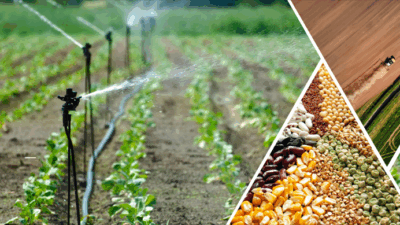 Çiftçilerin ve üreticilerin merakla beklediği 2025-2027 yıllarını kapsayan Bitkisel Üretime