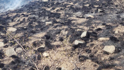 Yozgat’ta, Türkiye’nin ilk milli parkı olan Çamlık Milli Parkı eteklerinde