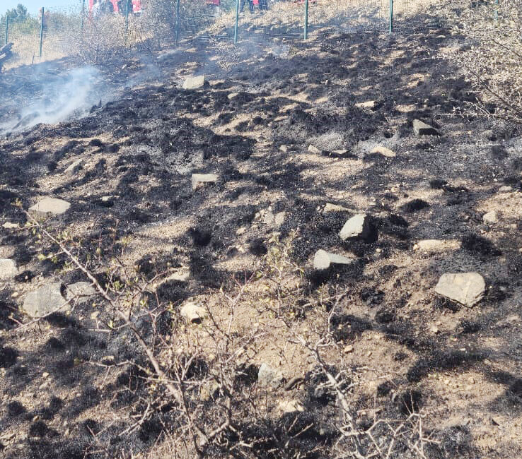 Yozgat’ta, Türkiye’nin ilk milli parkı olan Çamlık Milli Parkı eteklerinde