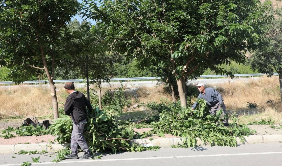 Çekerek Belediye Başkanı Üzeyir İnce, ilçenin daha temiz, düzenli ve