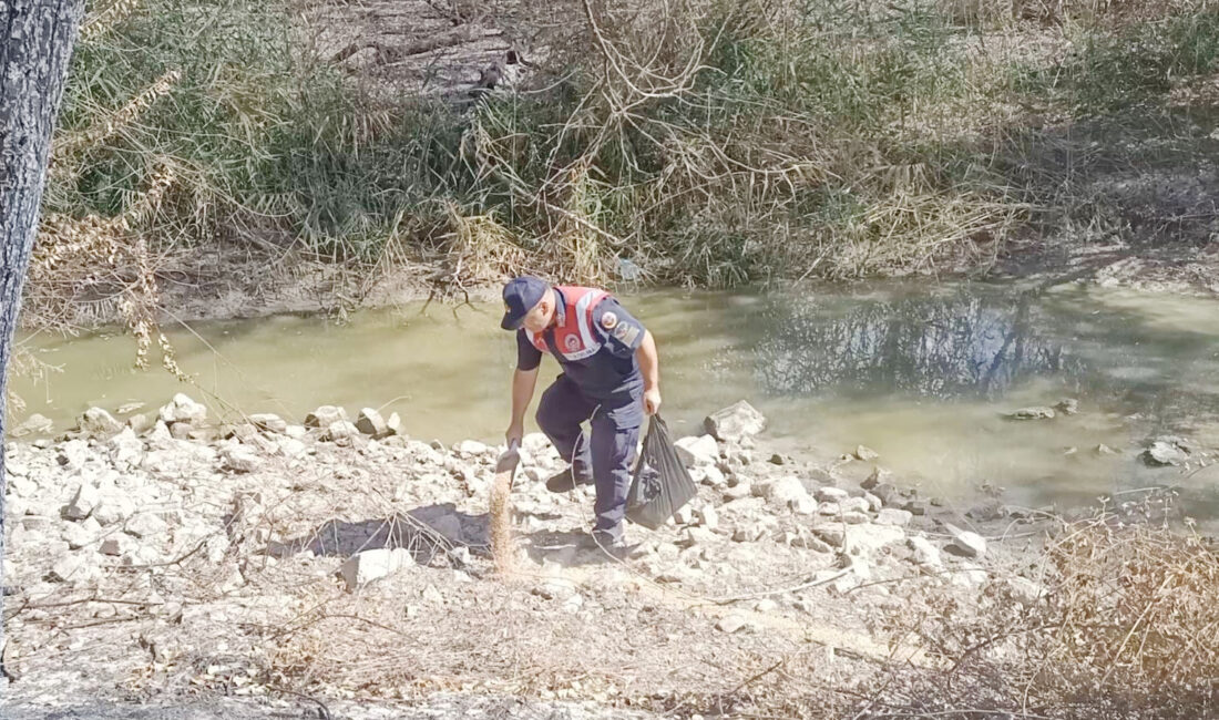 Yozgat İl Jandarma Komutanlığı’na bağlı Çevre, Doğa ve Hayvanları Koruma