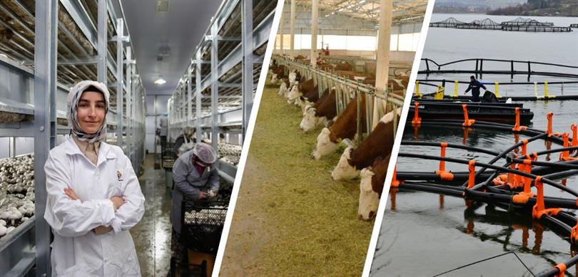 Resmi Gazete'de yayımlanan "2024-2026 Yıllarında Yapılacak Hayvancılık Desteklemelerine İlişkin Kararda