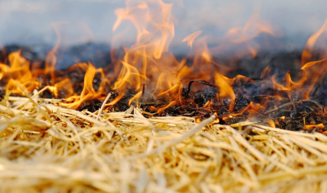 Saraykent İlçe Jandarma Komutanlığı ekipleri, ilçede çıkan anız yangınıyla ilgili