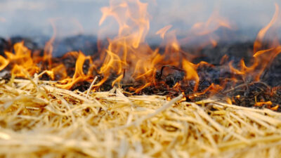 Saraykent İlçe Jandarma Komutanlığı ekipleri, ilçede çıkan anız yangınıyla ilgili
