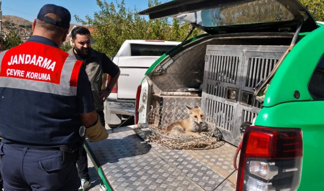 Yozgat İl Jandarma Komutanlığı Çevre, Doğa ve Hayvanları Koruma Timi,