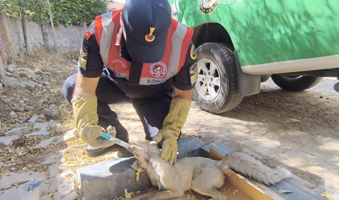 Yozgat Çevre, Doğa ve Hayvanları Koruma Timi, Şefaatli İlçe Jandarma