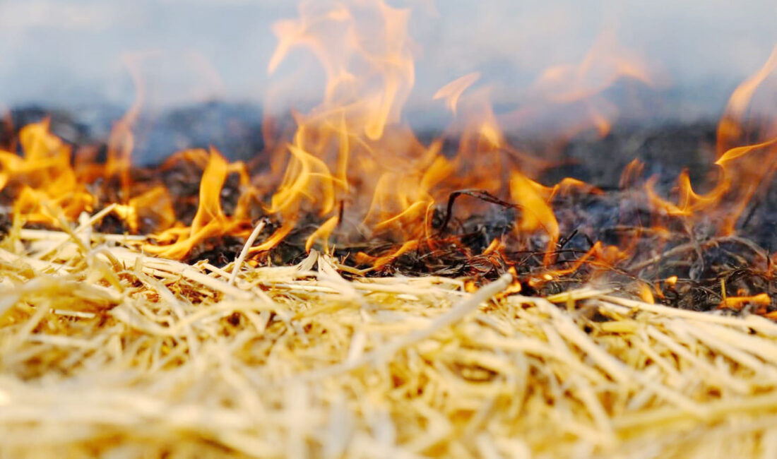 Yozgat Merkez İlçe Jandarma Komutanlığı sorumluluk alanında meydana gelen olayda,