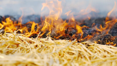 Yozgat Merkez İlçe Jandarma Komutanlığı sorumluluk alanında meydana gelen olayda,
