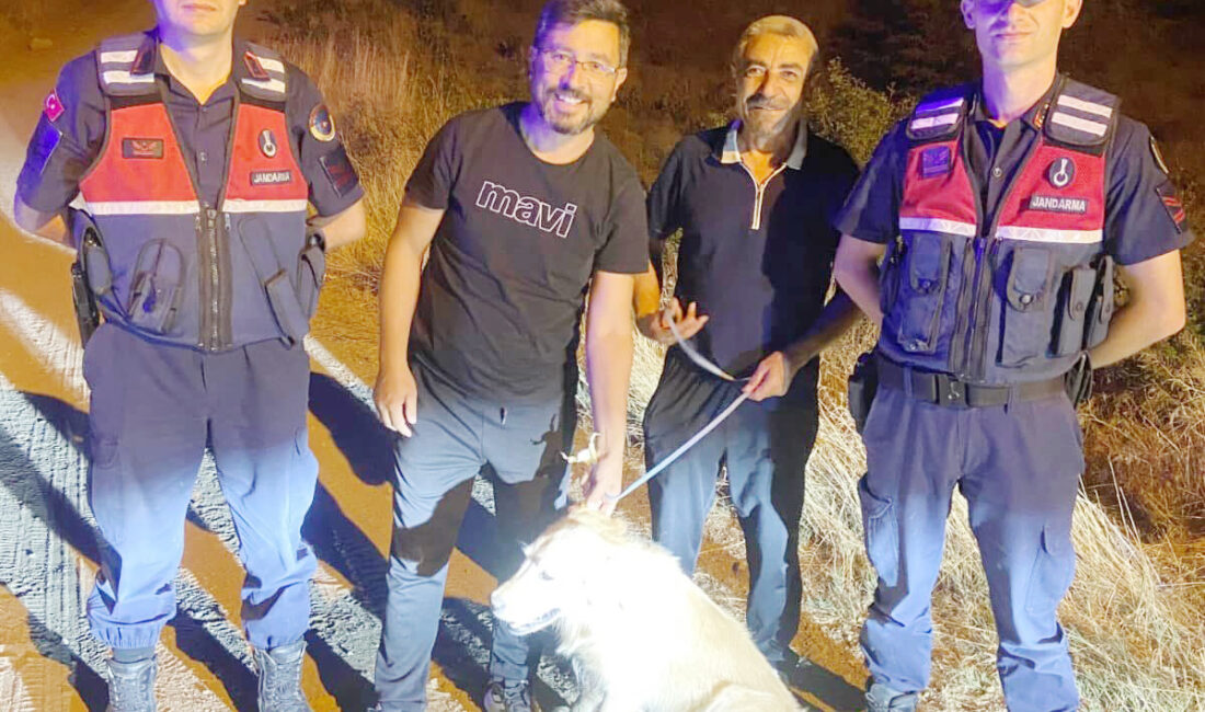 Sorgun Jandarma Karakol Komutanlığı sorumluluk bölgesinde görev yapan devriye ekipleri,