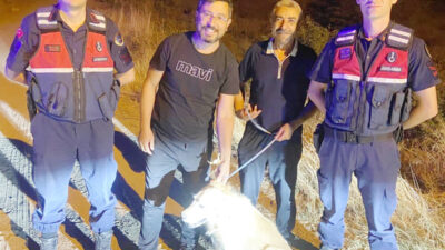 Sorgun Jandarma Karakol Komutanlığı sorumluluk bölgesinde görev yapan devriye ekipleri,