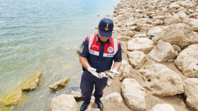 Yozgat'ın Boğazlıyan ilçesinde Çevre Doğa ve Hayvanları Koruma Timi, Jandarma