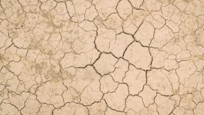 Meteoroloji Genel Müdürlüğü (MGM), Ağustos 2024 – Temmuz 2025 dönemini