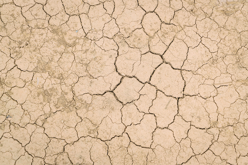 Meteoroloji Genel Müdürlüğü (MGM), Ağustos 2024 – Temmuz 2025 dönemini