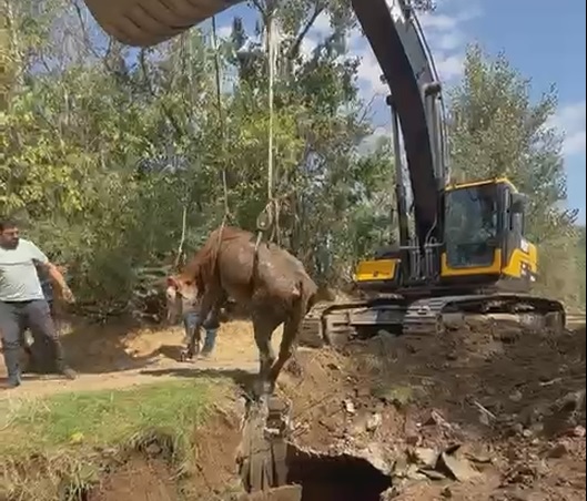 Yozgat İl Özel İdaresi ekipleri, Araplı Köyü’nde bir çiftçinin kuyuya