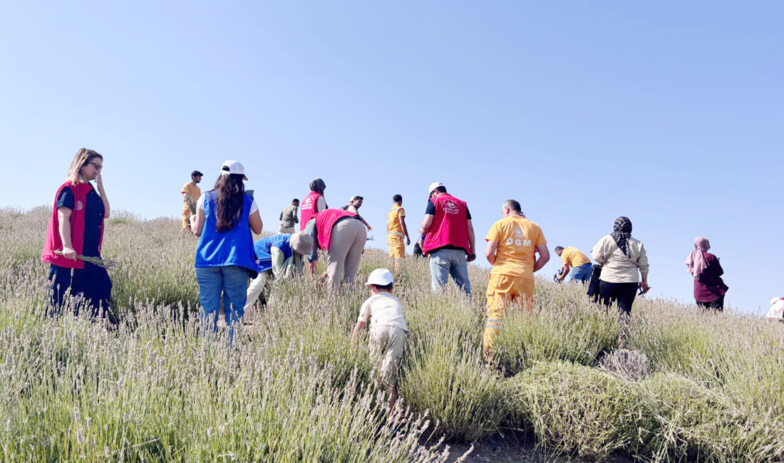 Gençlik ve Spor Bakanlığı tarafından yürütülen "Genç Çiftçi Programı" kapsamında