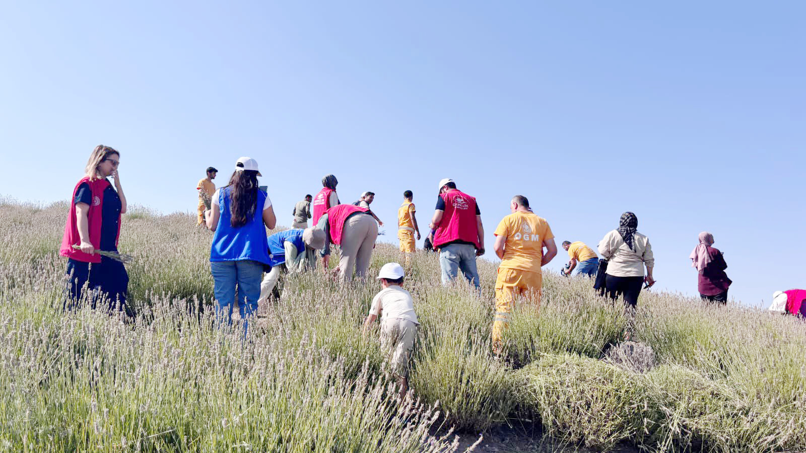 Gençlik ve Spor Bakanlığı tarafından yürütülen "Genç Çiftçi Programı" kapsamında