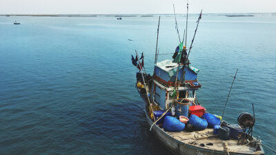 Cumhurbaşkanı Recep Tayyip Erdoğan’ın imzasıyla Resmî Gazete’de yayımlanan yeni kararlarla,