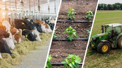 Tarım ve Orman Bakanlığı, tarım sektöründe çığır açacak yeni bir