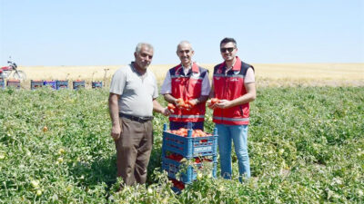 Yozgat İl Tarım ve Orman Müdürlüğü'nün öncülüğünde yürütülen projede, doğal